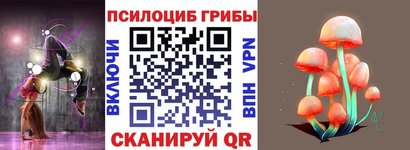 Псилоцибиновые грибы Cubensis  Арск 